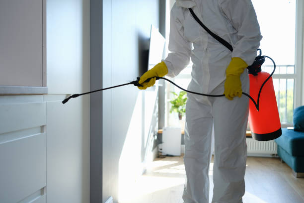 Best Office Mold Removal Services  in Walker, LA